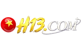 H13